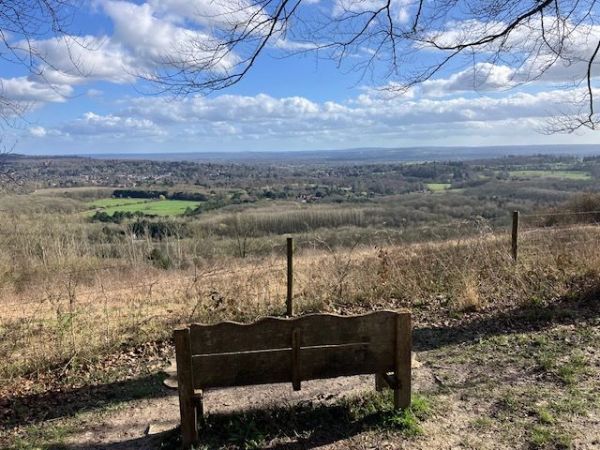 View south from North Downs